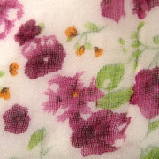 20090428.jpg