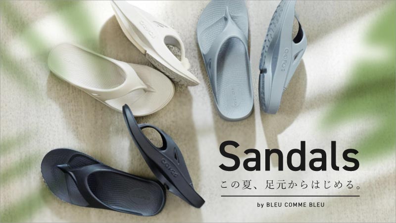 sandal_800-450.jpg